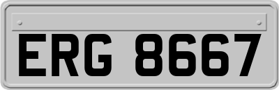 ERG8667