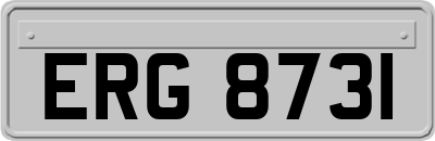 ERG8731