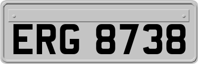 ERG8738