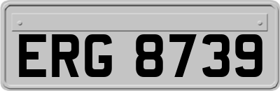 ERG8739