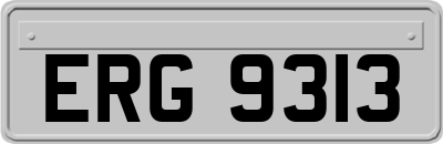 ERG9313