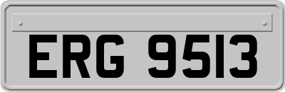 ERG9513