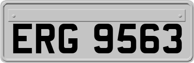 ERG9563