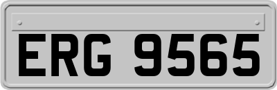 ERG9565