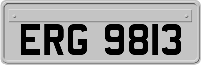 ERG9813