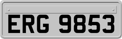 ERG9853