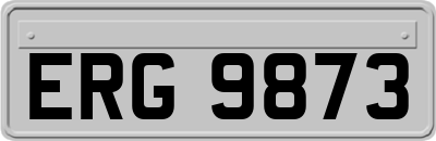 ERG9873