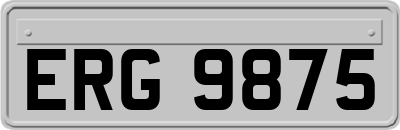 ERG9875