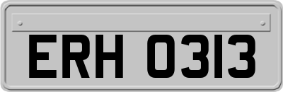 ERH0313