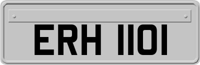 ERH1101