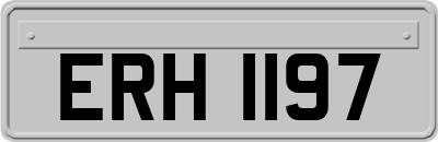 ERH1197