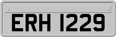 ERH1229