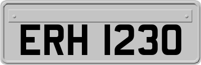 ERH1230