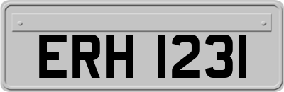 ERH1231