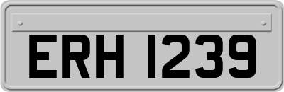 ERH1239