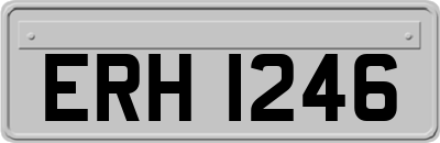 ERH1246