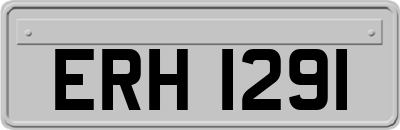ERH1291