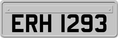 ERH1293