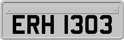 ERH1303