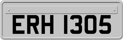 ERH1305