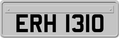 ERH1310