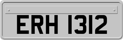 ERH1312