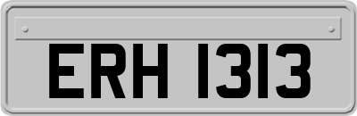 ERH1313