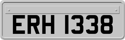 ERH1338