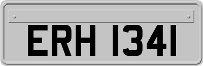 ERH1341