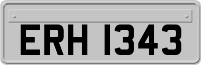 ERH1343