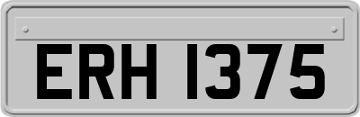 ERH1375