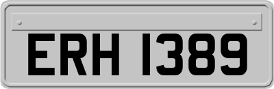 ERH1389