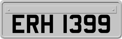 ERH1399