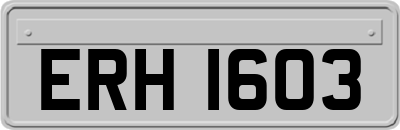 ERH1603