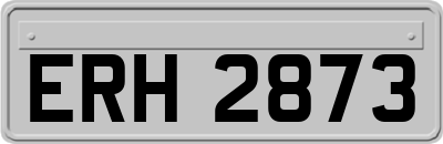 ERH2873