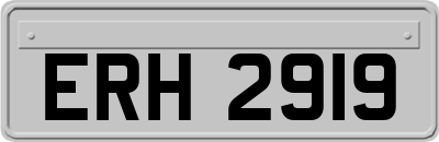 ERH2919