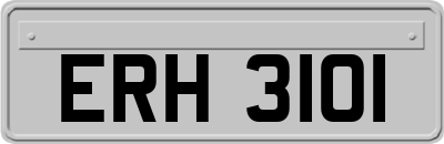 ERH3101