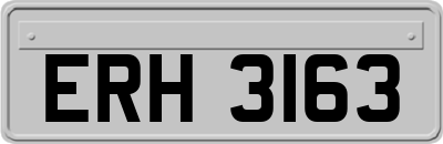 ERH3163