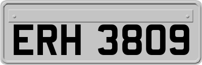 ERH3809