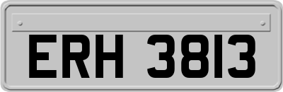 ERH3813