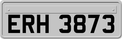 ERH3873