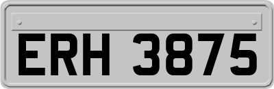 ERH3875