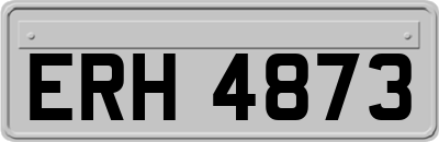 ERH4873