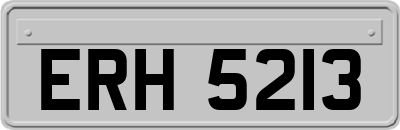 ERH5213
