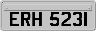 ERH5231