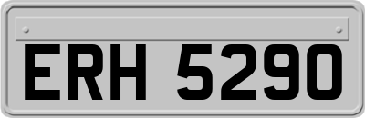 ERH5290