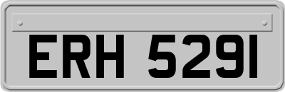 ERH5291