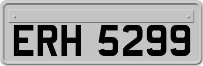 ERH5299