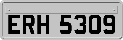 ERH5309