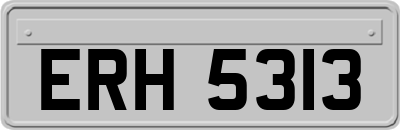 ERH5313